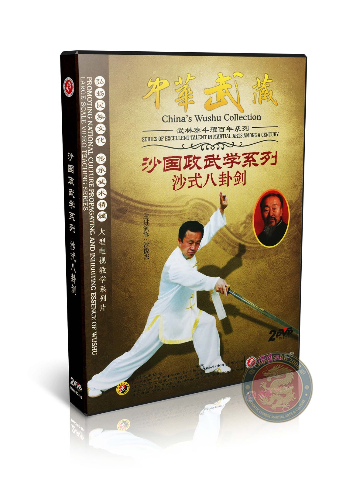 Sha Style Bagua Continuous Sword Routine by Master Li Bin Training 2DVD Guide