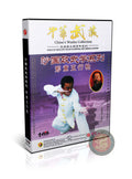 Xingyi Five Elements Spear Technical Routine by Master Sha Junjie Kung Fu DVD