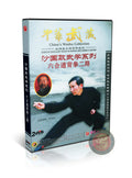Sha Style Liuhe Tongbei Fist Routine 2 Internal Power Training by Mao Jinsong DVD