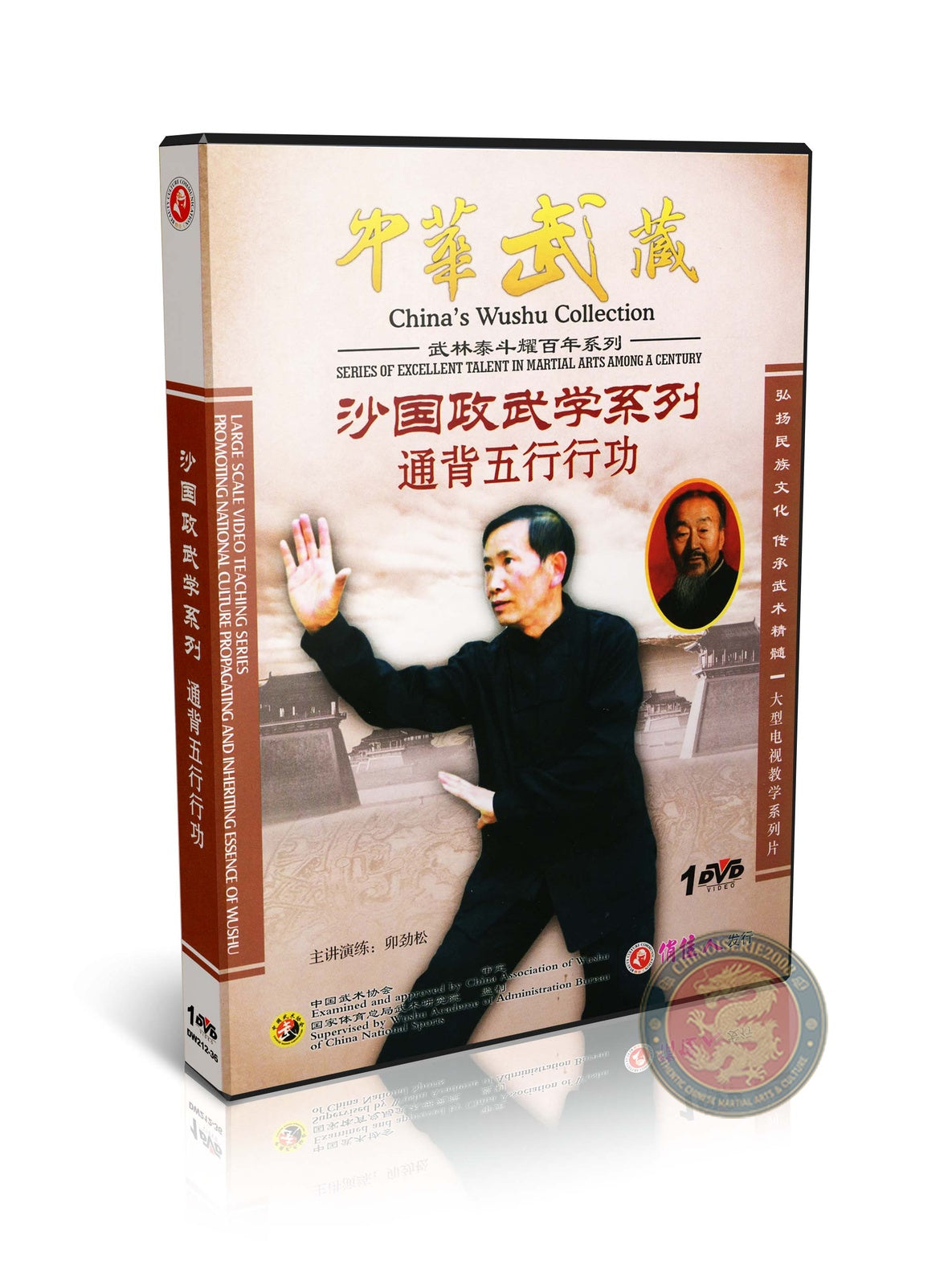 Tongbei Five Elements Xing Gong Stance Training by Master Mao Jinsong DVD