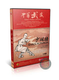 Shaolin Punch Traditional Combat Routine and Applications by An Guoqi DVD
