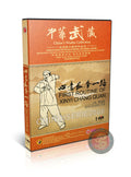 Xinyi Chang Quan First Routine by Master Chai Zonghan Kung Fu Training DVD