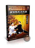 Ancestral Chen Style Taijiquan Pushing Hands Mastery by Master Chen Zhenglei DVD