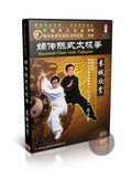 Ancestral Chen Style Taijiquan Wushu Exhibition by Master Chen Zhenglei 3DVD