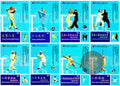 Traditional Yin Style Baguazhang Master Collection by Zhu Baozhen 8-DVD Set