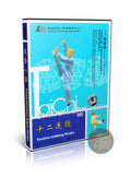 Yin Style Baguazhang Twelve Linking Kicks by Zhu Baozhen Instructional DVD
