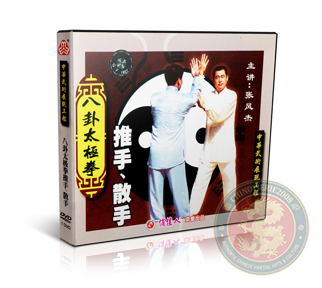 Bagua Taiji Push Hands & Sparring DVD - Expert English Commentary Martial Arts
